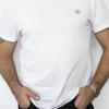 White Cotton Inner Vest